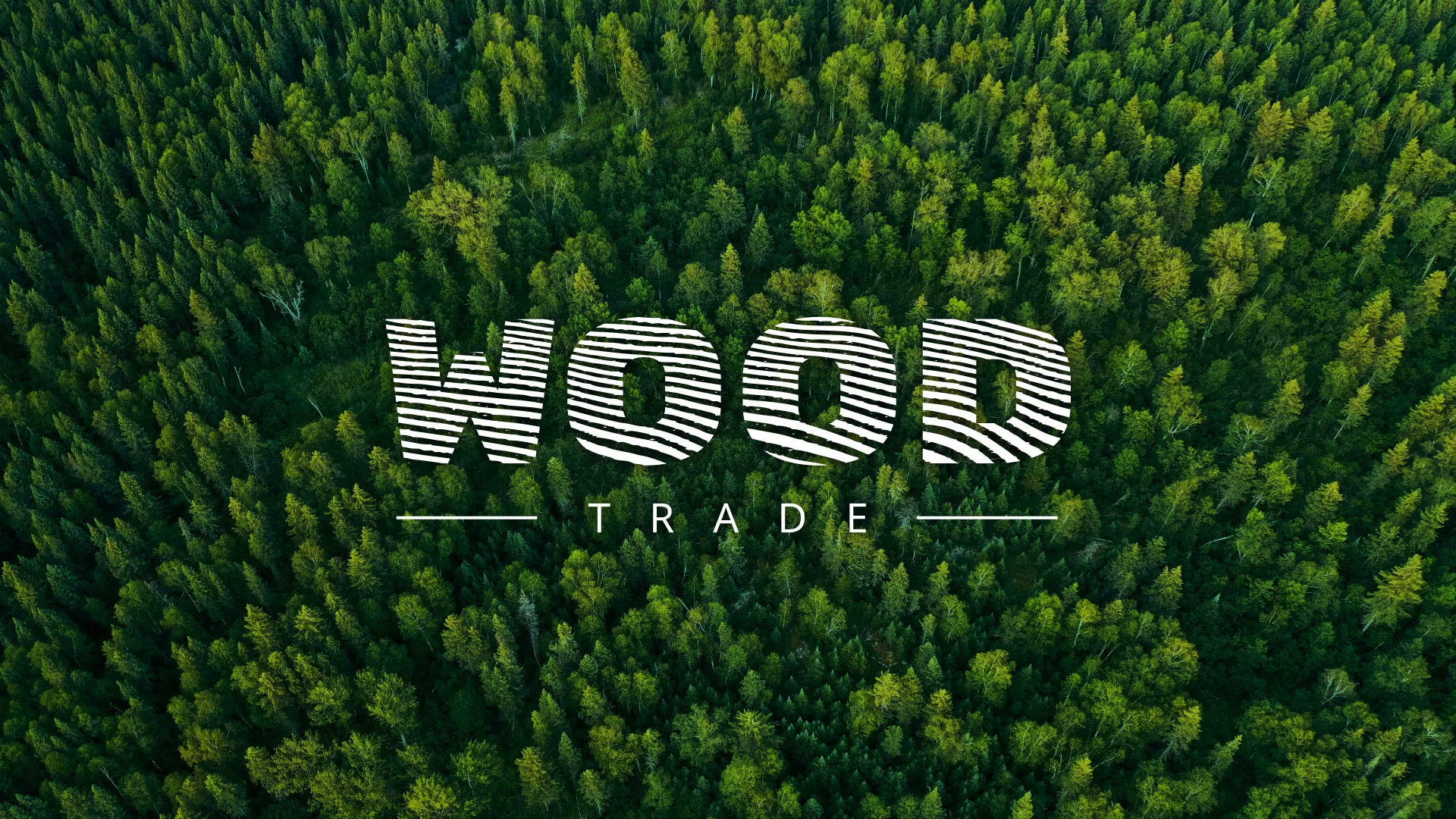 Разработка интернет-магазина компании «Wood Trade» в Бронницах